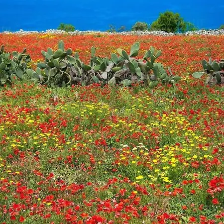 La Casa Del Nonno 別荘 *